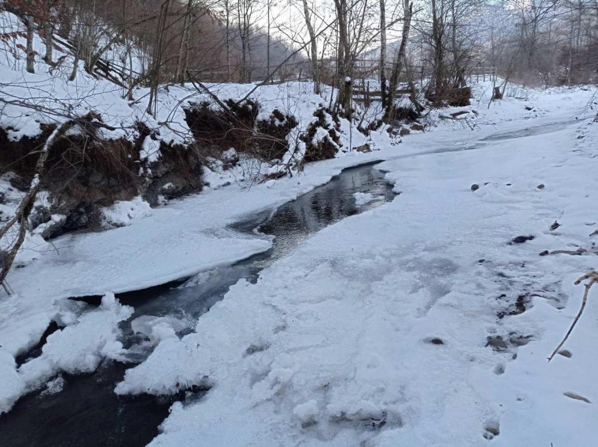 Vikendica Nole Jahorina Villa Pale Eksteriør bilde