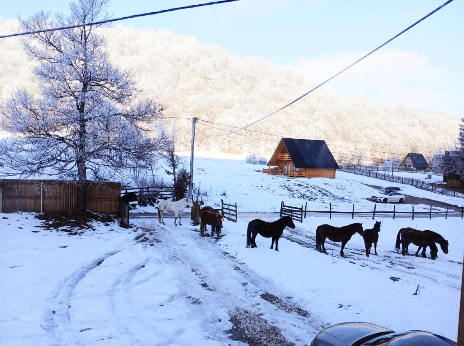 Vikendica Nole Jahorina Villa Pale Eksteriør bilde